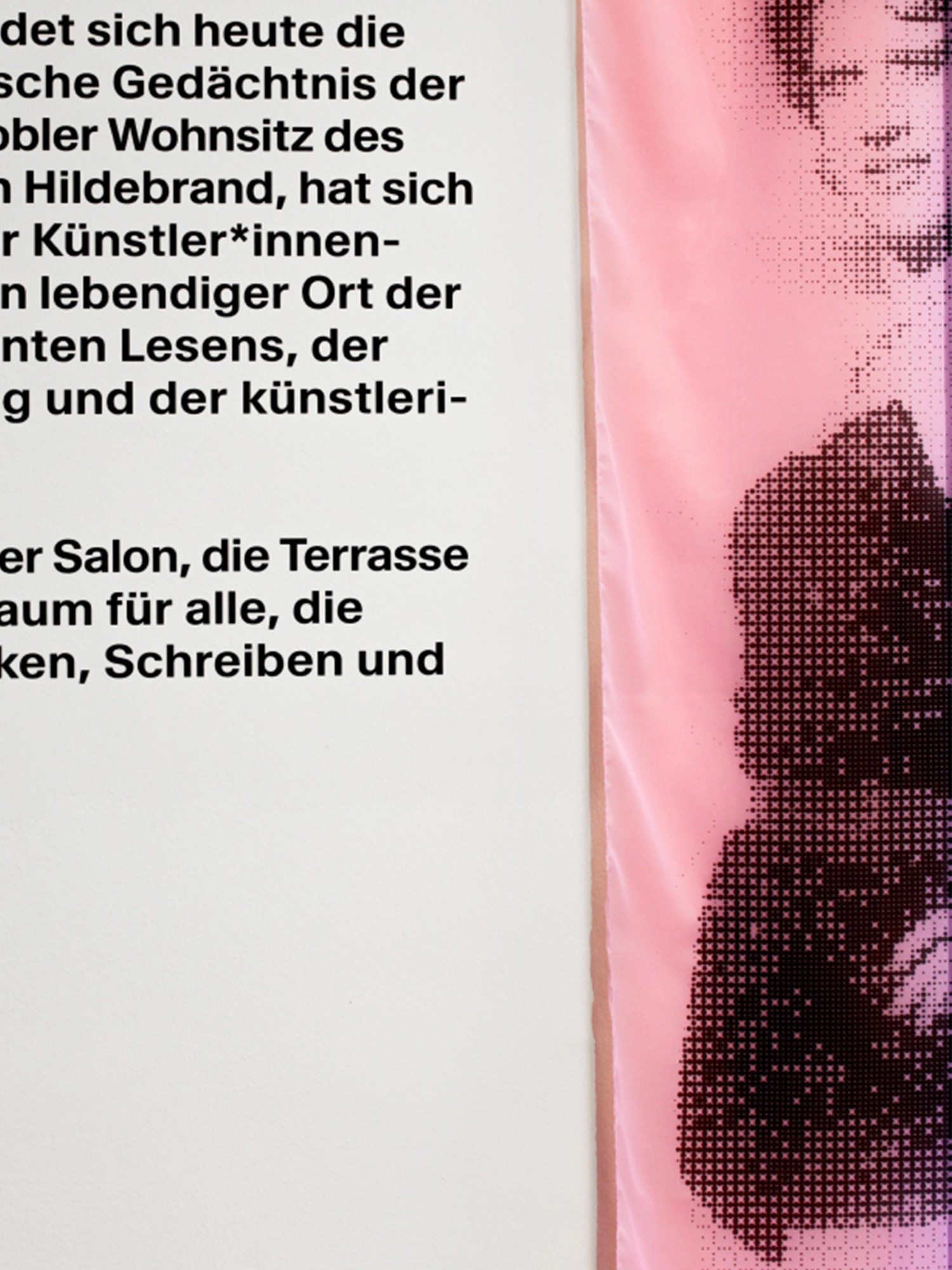 Nahaufnahme eines Zitats und und dem daneben hängenden pinken Vorhang, auf dem ein Raster einer Frau dargestellt ist.