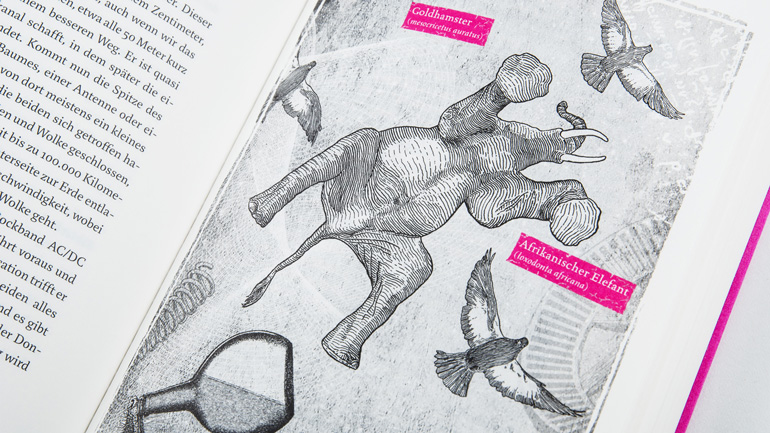 Großflächige Illustration innerhalb des Buchs. Ein Elefant und Vögel sind von unten zu sehen.