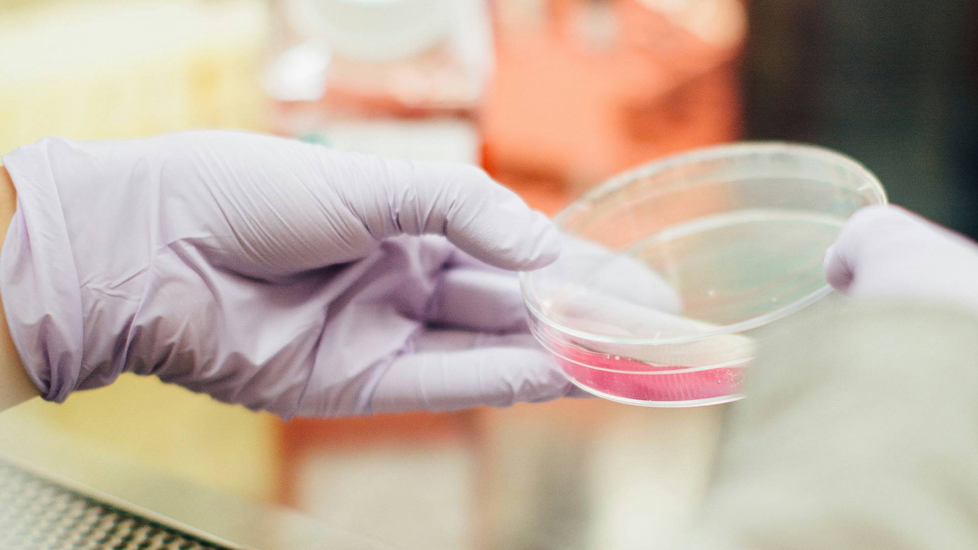 Foto von Pipette und Petrischale, wissenschaftliche Bildreferenz